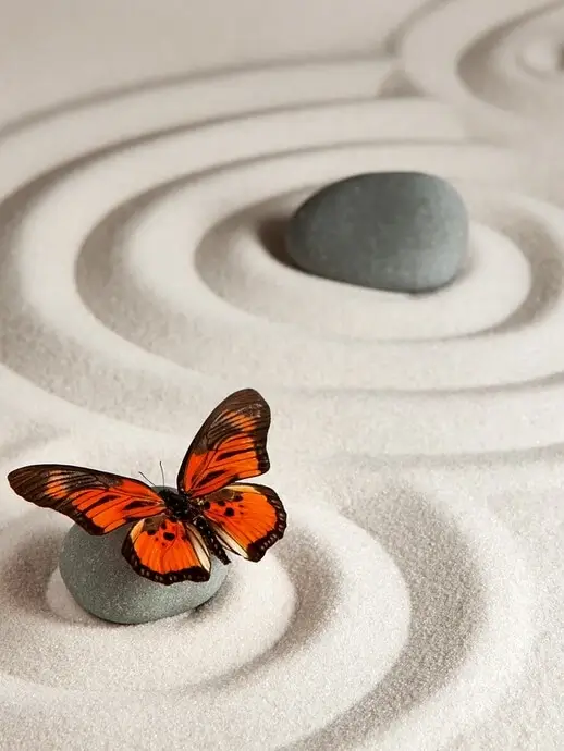 Zen