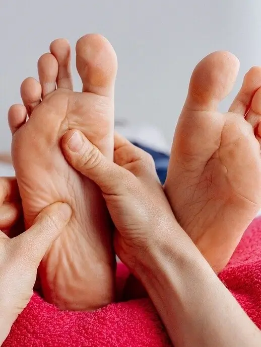 Pieds